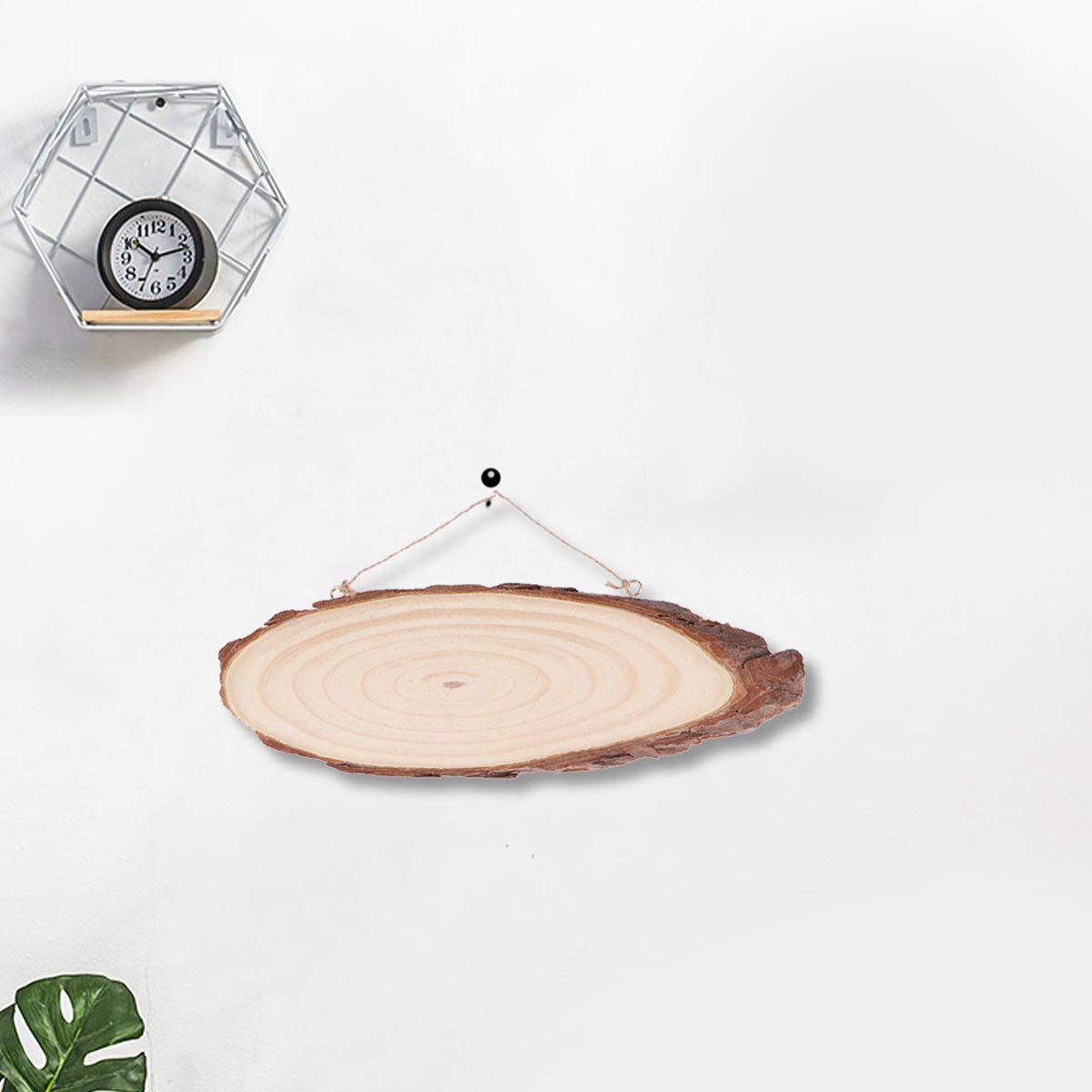 Fette di legno 26x7x1 cm Disch - Oud Wood Chip recensione e prezzo