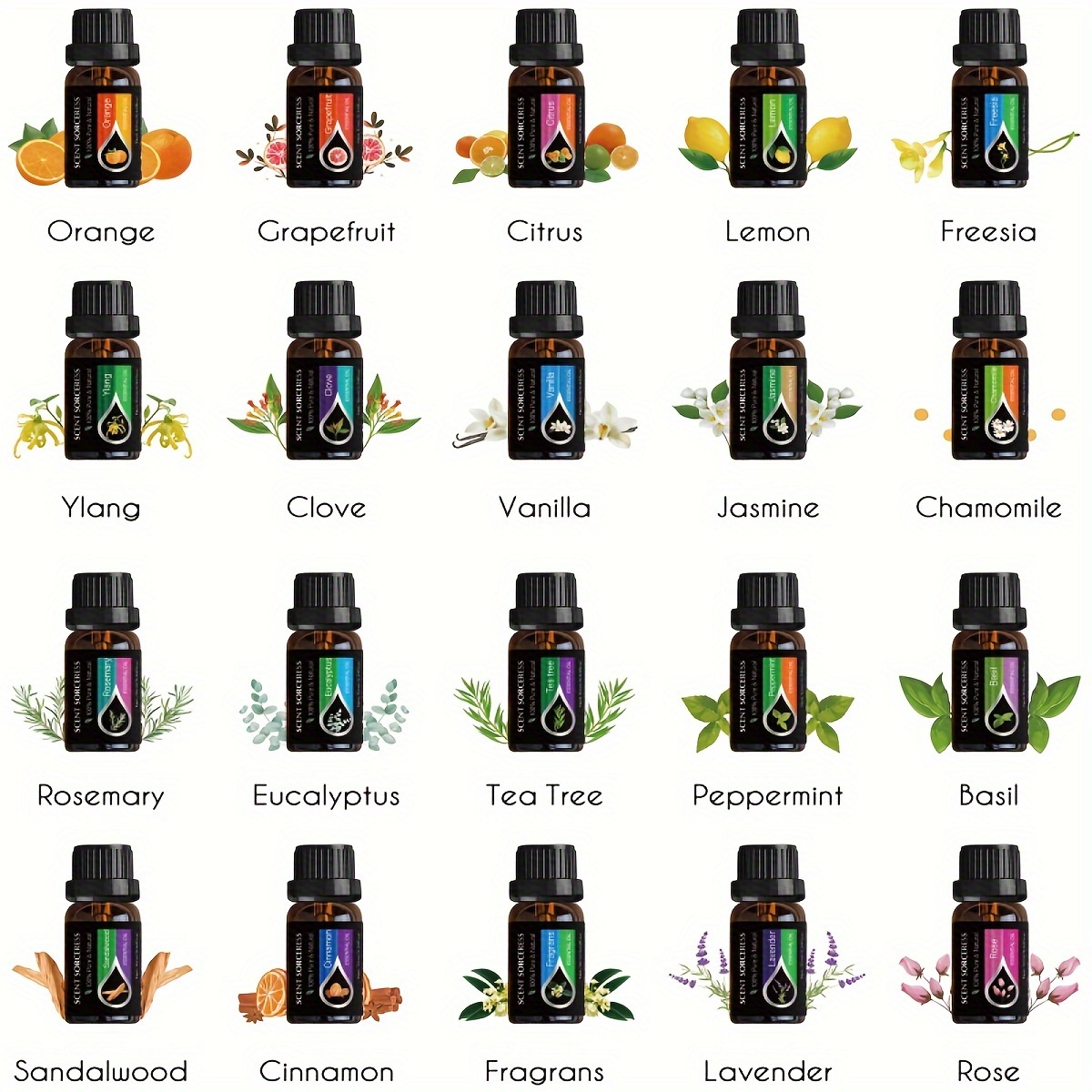 Set di 20 Oli Essenziali Class - Perfume Fragrance Oil recensione e prezzo